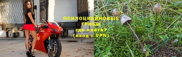 мдпв Касимов