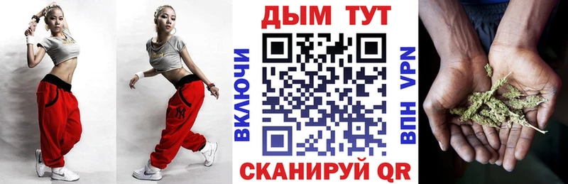 Канабис план  Купить где  Плёс 